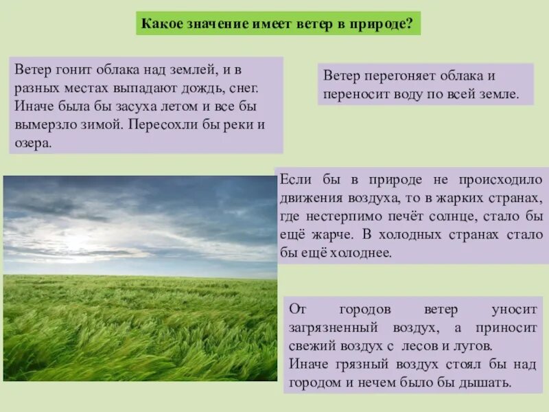 Слова ветра в природном словаре. Словарь ветра в природном словаре. Слова ветра в природном словаре 3 класс. Природный словарь про ветер. Ветер ответ принесет