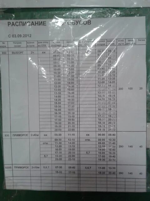 Расписания автобусов парнас приморск. Расписание автобусов до Выборга. Автобус Выборг Санкт Петербург. Расписание автобусов Выборг. Расписание автобусов от Выборга до СПБ.