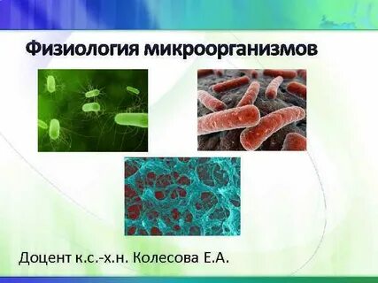 Физиология микроорганизмов