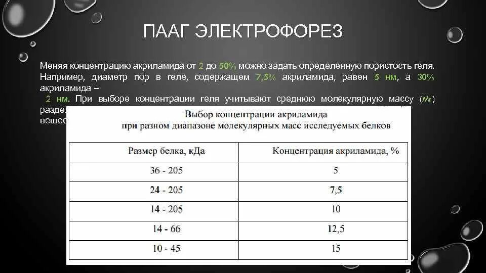 ПААГ гель электрофорез. Полиакриламидный гель электрофорез. ПААГ электрофорез белков. Компоненты электрофореза в полиакриламидном геле. Фотограф электрофорез текст песни