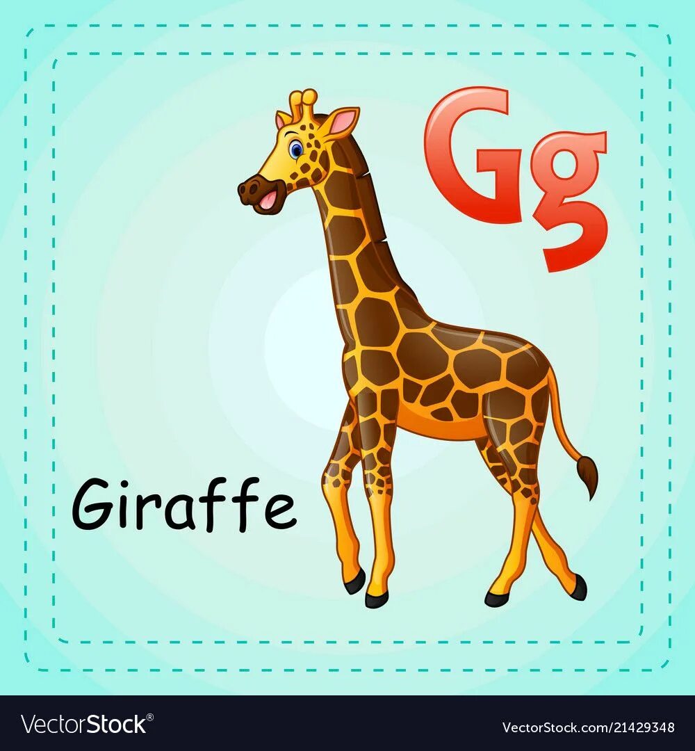 Жираф звуки буквы. Giraffe английский для детей карточки. Жираф на английском. Жираф карточка для детей. Жираф карточка на английском.