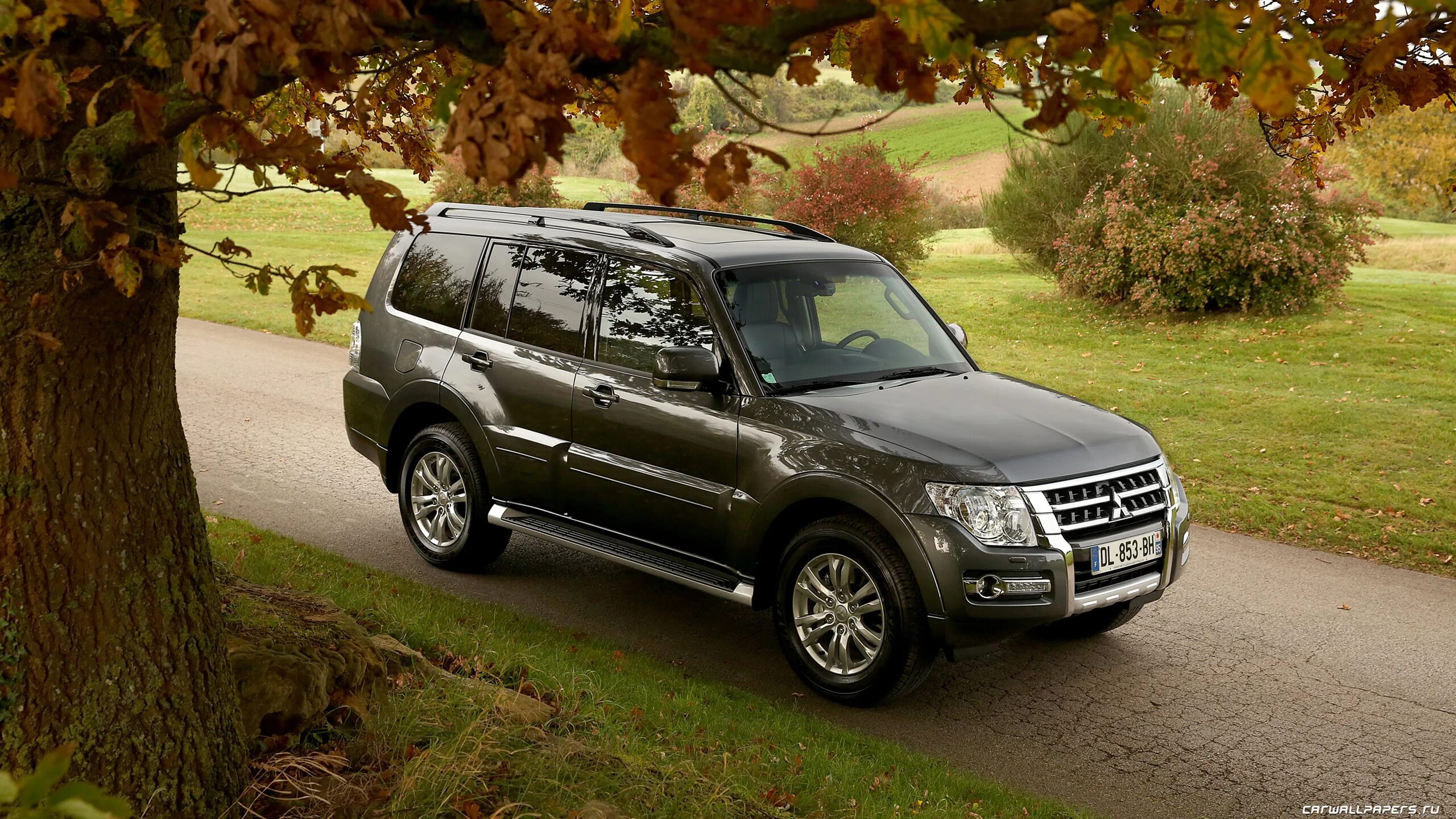 Mitsubishi pajero wagon.