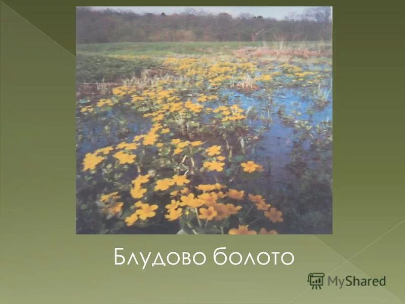 блудово болото кладовая солнца.