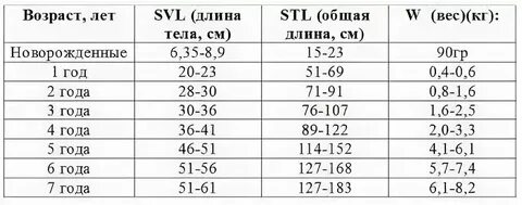 Размер полового и возрастного