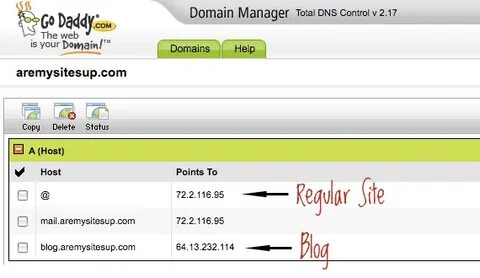 Dns controller