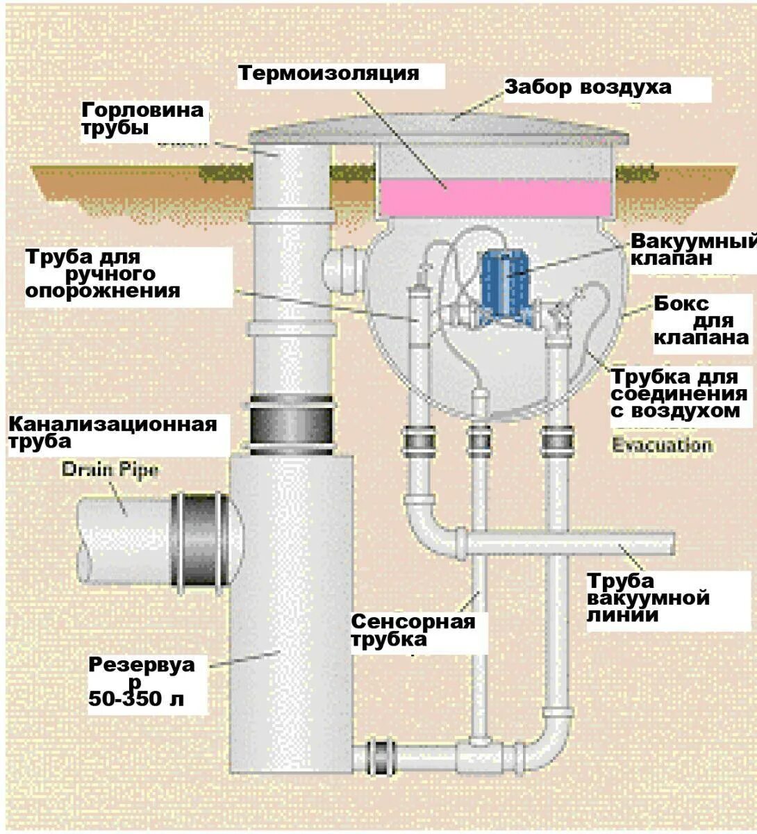 Как работает клапан канализации. Клапан вакуумный канализационный 50 как установить. вакуумный клапан для канализации 110 мм установка. вакуумный клапан для канализации 50 мм схема установки. клапан вакуумный канализационный 110 мм установлен.