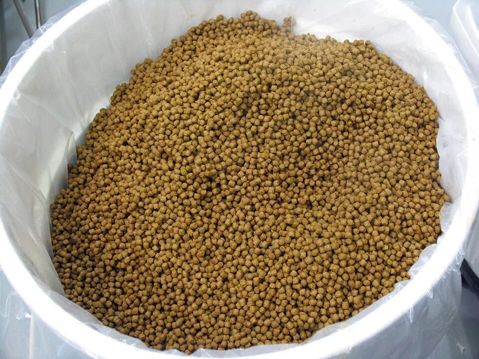 Seed base