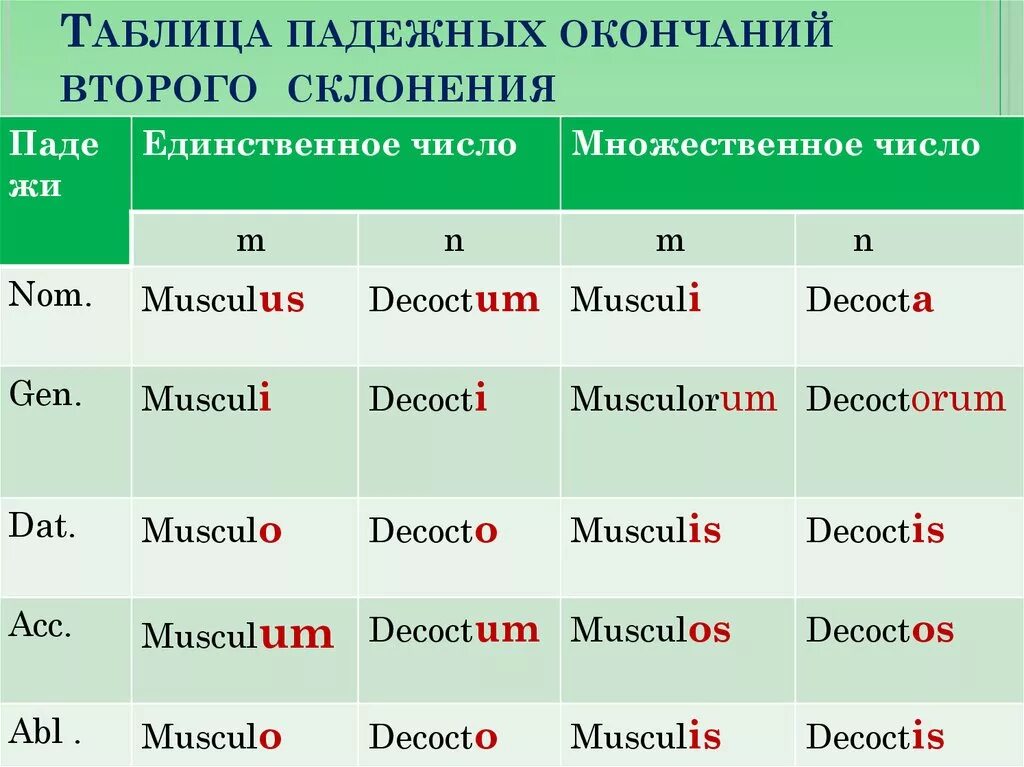 Латынь окончания существительных таблица. Склонение существительных 2 склонения в латинском языке. Таблица окончаний 2 склонения латынь. Окончания существительных 1 склонения в латинском языке. Просклонять по падежам 25