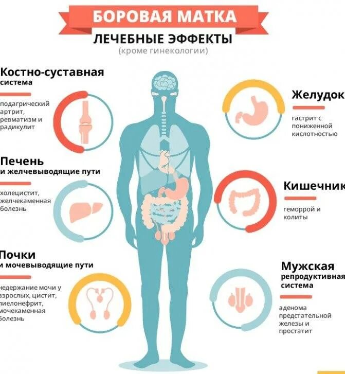 Витамины для повышения прогестерона. Диета при пониженном прогестероне. Витамины прогестерон для женщин. Продукты повышающие прогестерон.