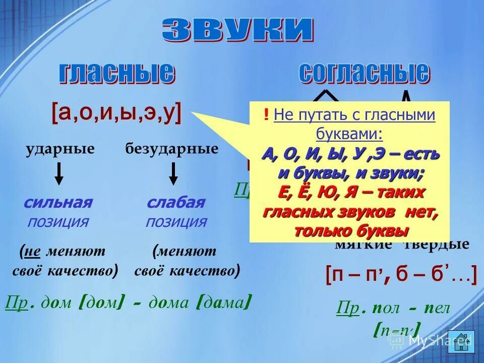 Сильные и слабые позиции гласных