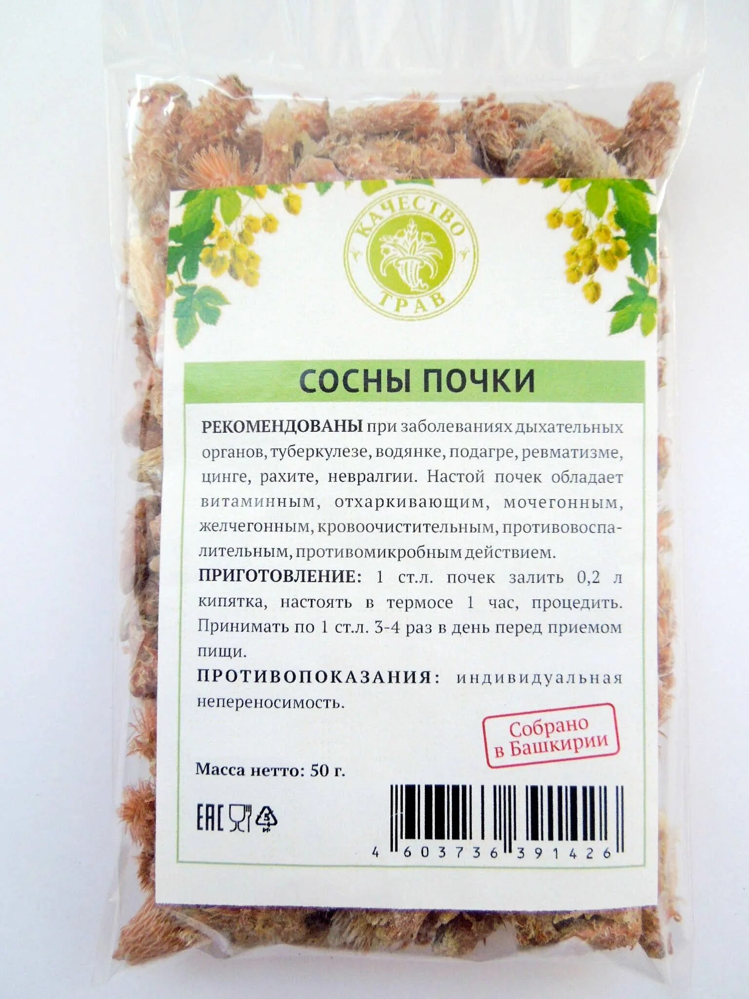 Почки сосны в аптеке. Хвойные почки. Сосны почки фитофарм. Почки сосны сырье. Сосны почки 50г фиф.