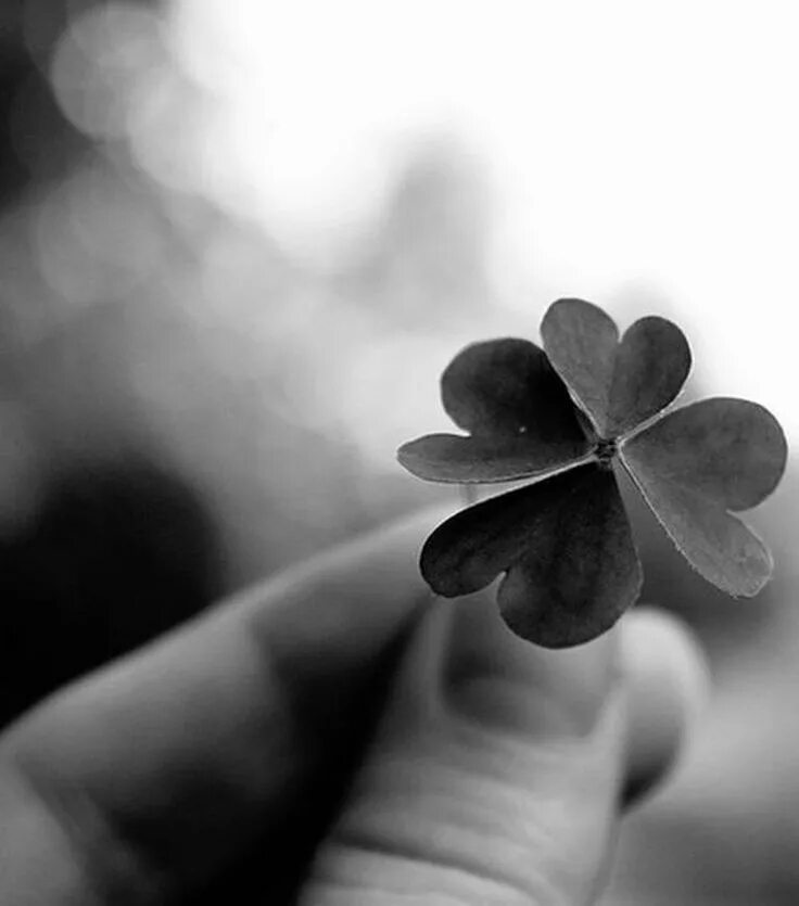 Черное счастье. Черное счастье. Черная ава удача. Аватарки со смыслом. Счастливые люди черно белое.