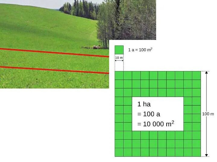 Приложение метр квадратный. 1 Гектар земли в квадратных метрах. Гектар сотка 10 соток. 10 Соток в метрах. Площадь участка в га.
