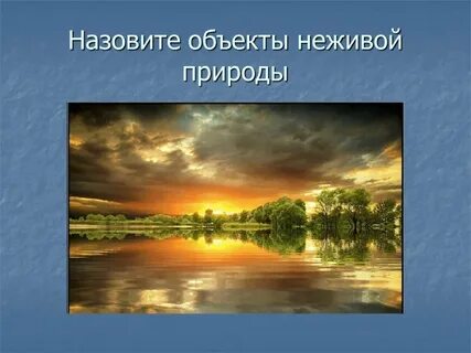 Что называют объектами природы