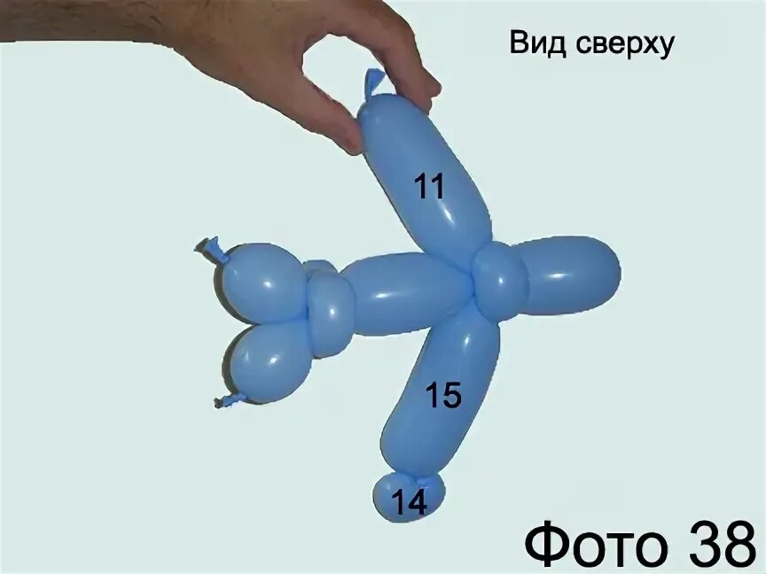 Схемы для шариков колбасок для начинающих. Фигуры из воздушных шаров схемы. Собачка из шариков схема. Фигурки из шариков колбасок. Из шарика колбаски схема.