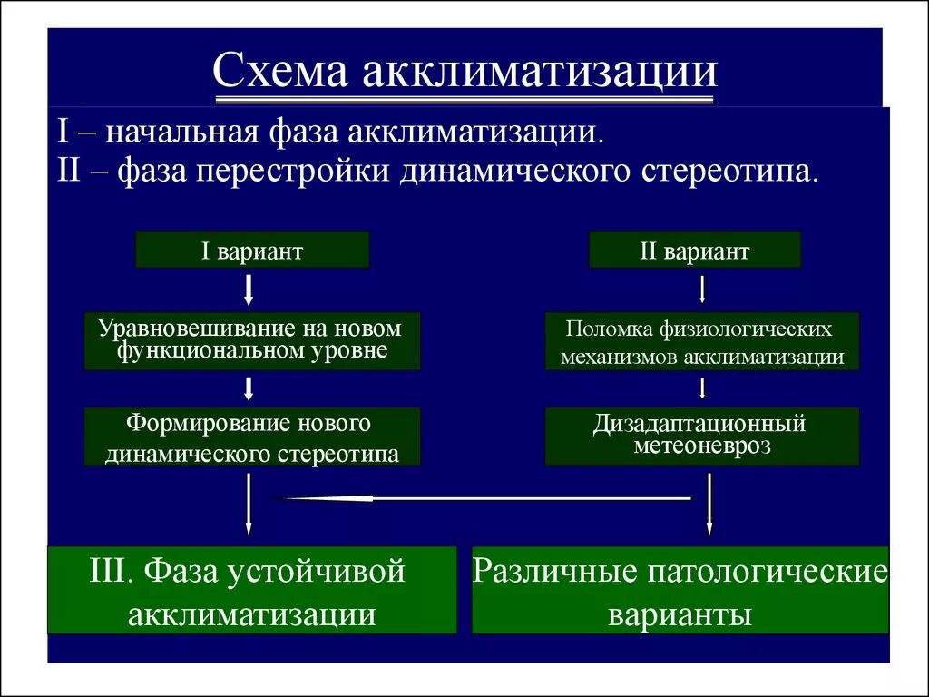 Динамическая перестройка