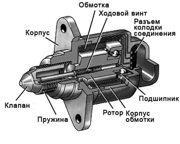 Как проверить рхх на вазе