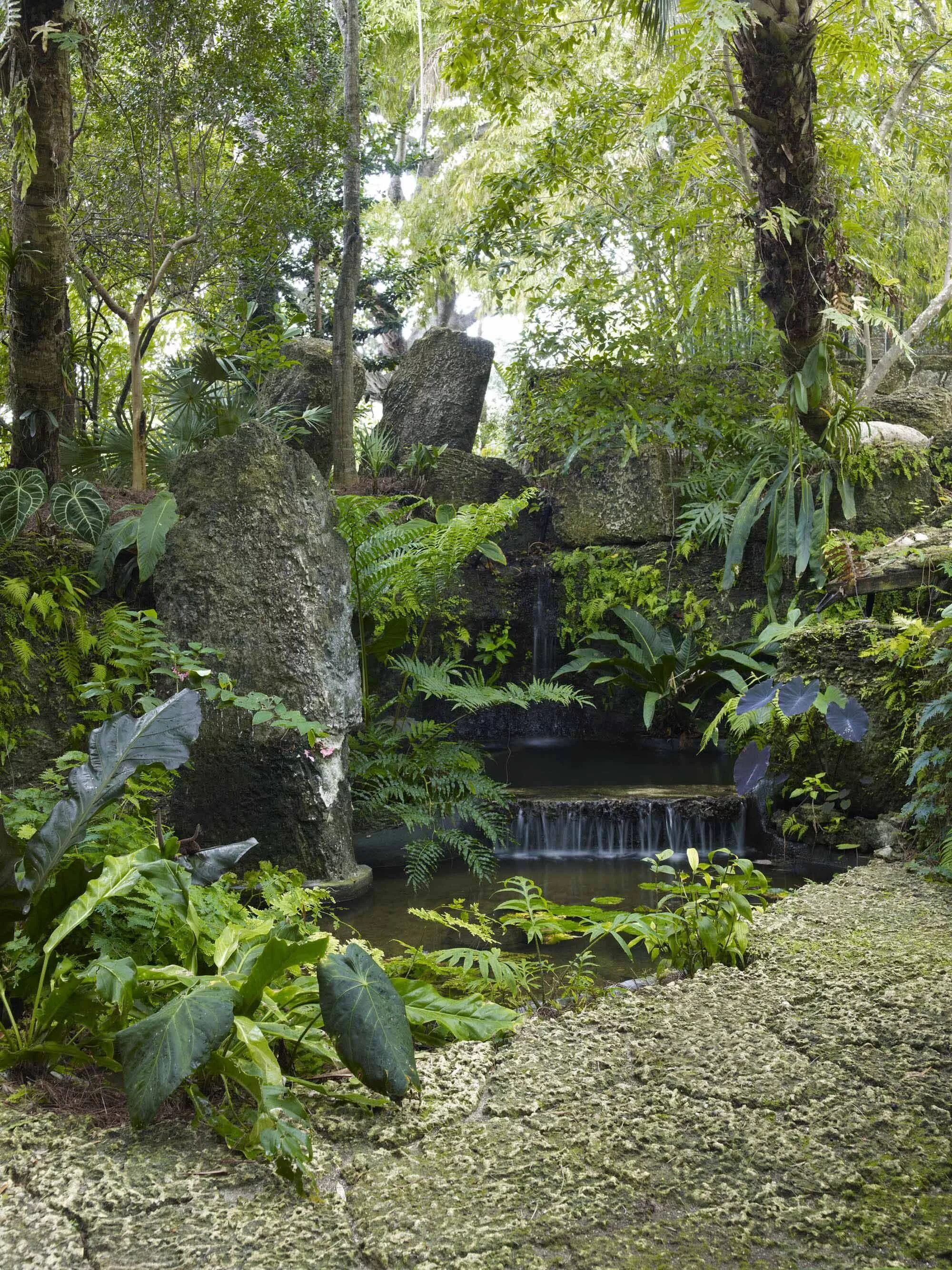 Тропический сад. Ландшафт джунгли. Ландшафтный дизайн джунгли. Сад джунгли