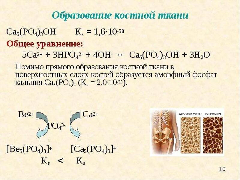 Na3po4 ca no3 3. Хим реакции образования костной ткани. Формирование костной ткани уравнение. Гетерогенное равновесие в костной ткани. CA po4 костная ткань.