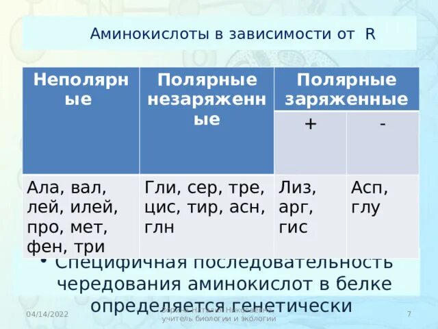 Лей про сер арг ала. Полярные и неполярные аминокислоты. Заряды аминокислот таблица. Таблица аминокислот Полярных и неполярных. Неполярные незаряженные аминокислоты.