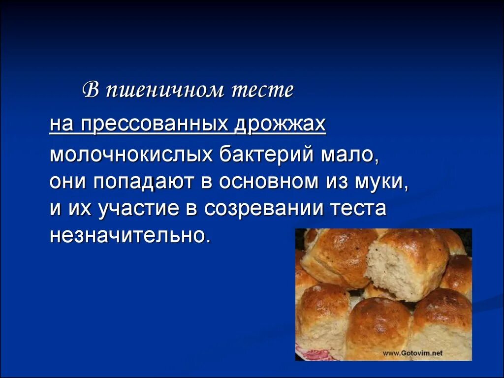 Рецепт пшеничного теста. С участием молочнокислых бактерий производятся. Без участия бактерий производятся мука. Микроорганизмы пшеничного теста. Дрожжевое тесто участия бактерий.