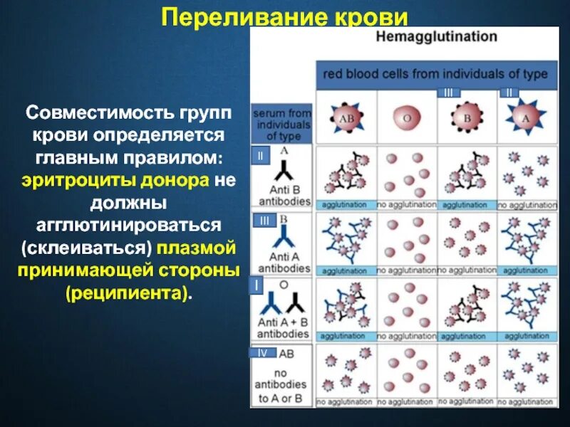 Как переливать кровь таблица Как группа крови влияет на нашу жизнь Ralzo Дзен