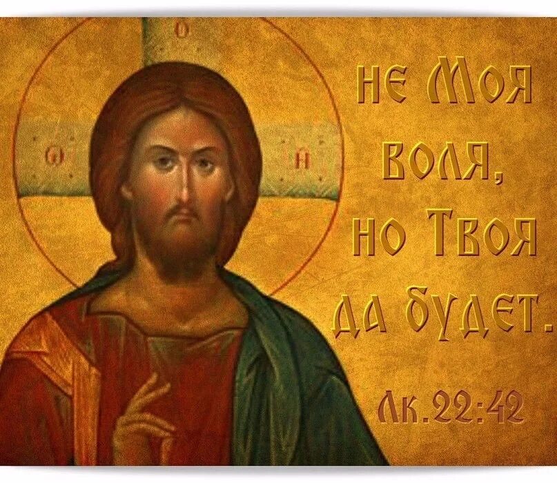 старец агапий афиноген. высказывания о промысле божьем. бог ревнитель икона. святые отцы о воле божией. высказывания святых.