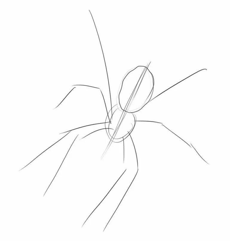 Паук карандашом легко. Паук поэтапное рисование. Рисунки пауков карандашом. Рисунок паука пошагово. Нарисовать паука карандашом.