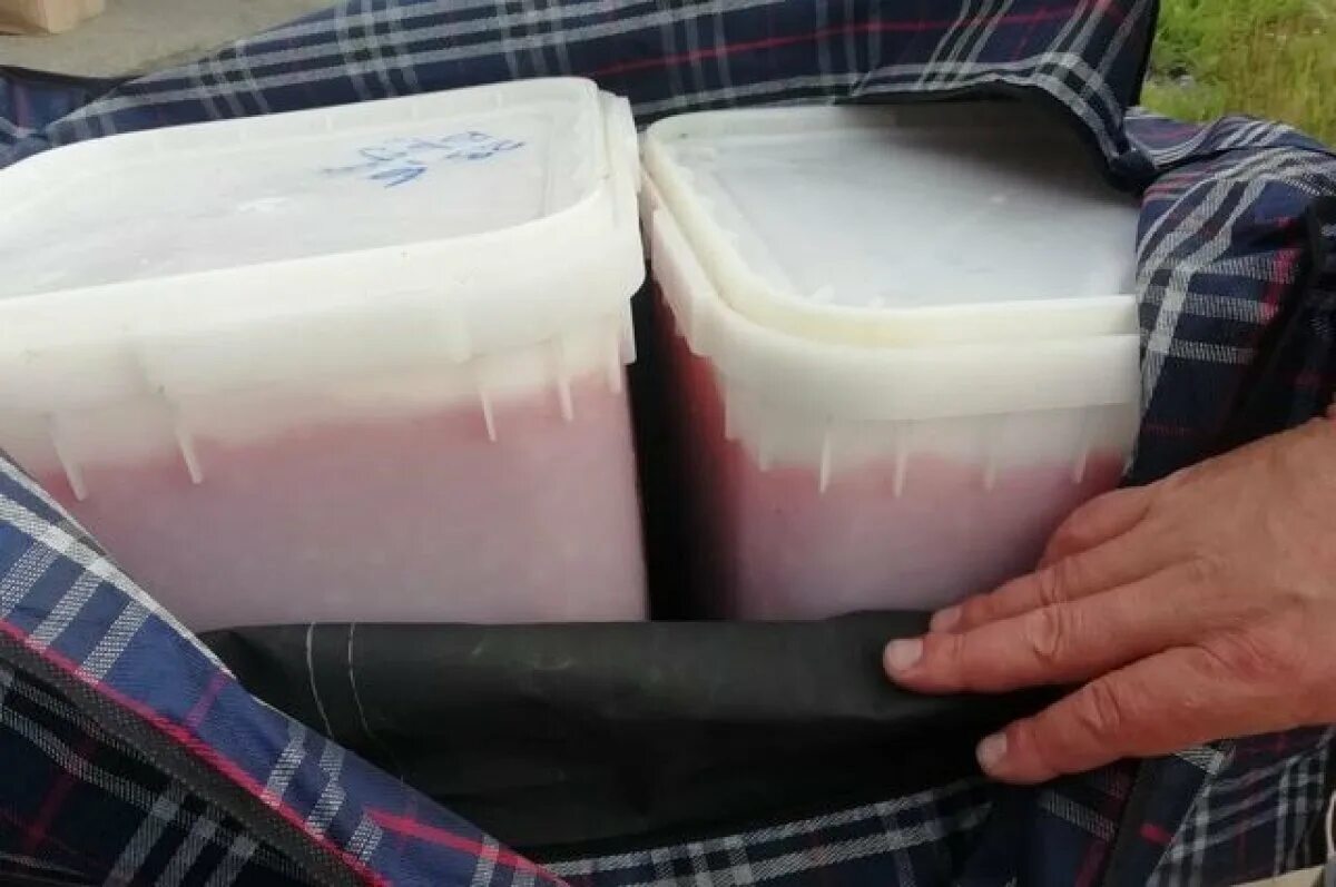 В икре обнаружили кишечную палочку