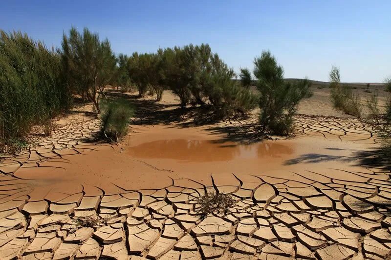 Опустынивание пустынь. Эрозия почв, засоление, заболачивание, опустынивание.. Опустынивание и деградация почвы. Это аридизация или опустынивание суши.