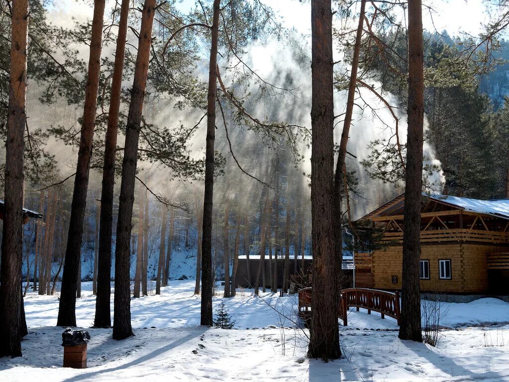 дом отдыха с отдельными домиками. солнечный залив база отдыха мытищи. базы отдыха у озера. эко отель горьковское шоссе. лада холидей лопотово.