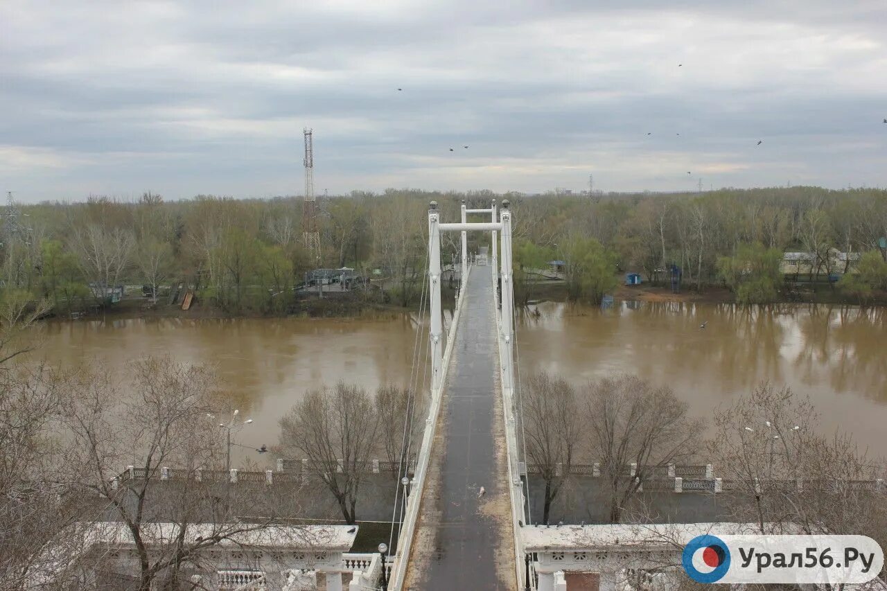 Оренбург разлив урала. Речка Урал в Оренбурге. Загрязнение реки Урал Оренбург. Урал река Оренбург обмельчал. Разлив Урала в Оренбурге.