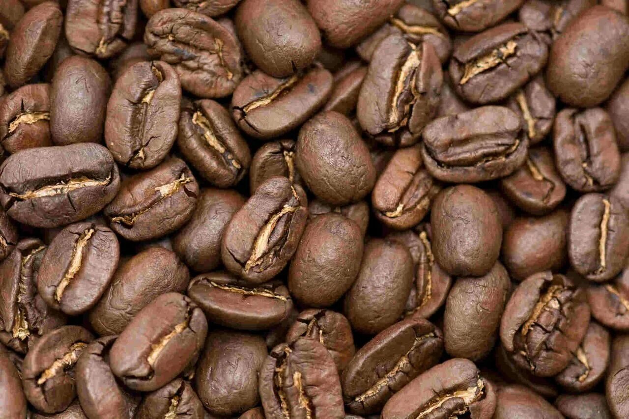 Никарагуа Марагоджип кофе. Кофе Никарагуа Марагоджип в зернах. Кофе Вьетнам Арабика Далат. Кофе зерно Вьетнам Далат. Кофе марагоджип никарагуа купить