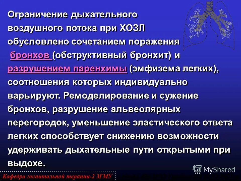 экспираторное ограничение воздушного потока это. воздух ограничения. обратимый и необратимый компоненты хобл. легочная гиперинфляция. правовое регулирование полетов воздушных судов.