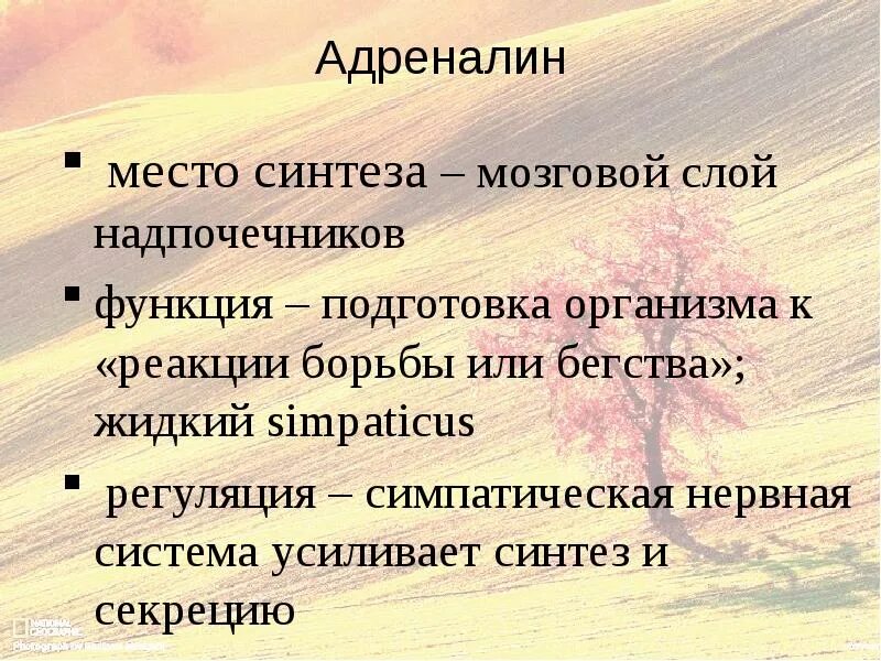 Строение норадреналина биохимия. Адреналин природа. Адреналин структурная формула. Адреналин гормон формула. Адреналин природа.