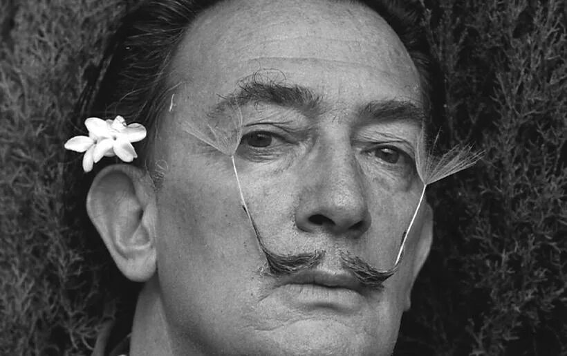 Salvatore Dali. Сальвадор дали фото. Сальвадор дали молодой. Усы Сальвадора дали.