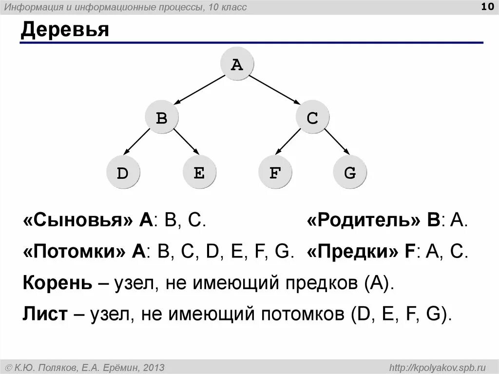 09.03 01 информатика. Дерево программирование. Дерево Информатика. Предки дерева в информатике. Дерево классов программирование.