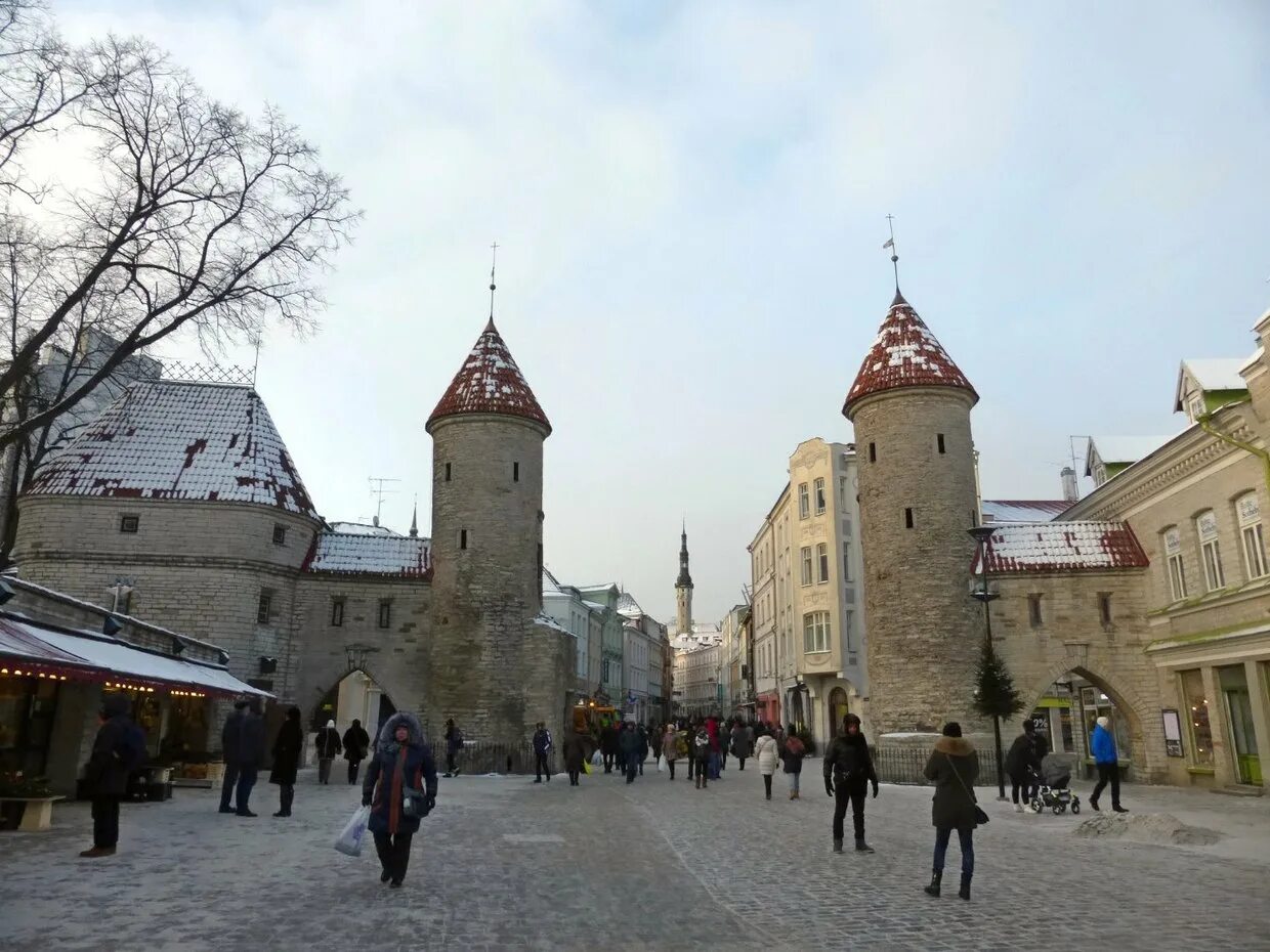 Старый город таллина. Старый город таллина. Старый город таллина (г. Вируские ворота таллин. Эстония столица таллин.