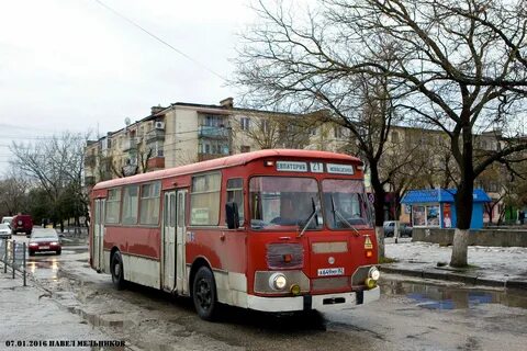 Борпап