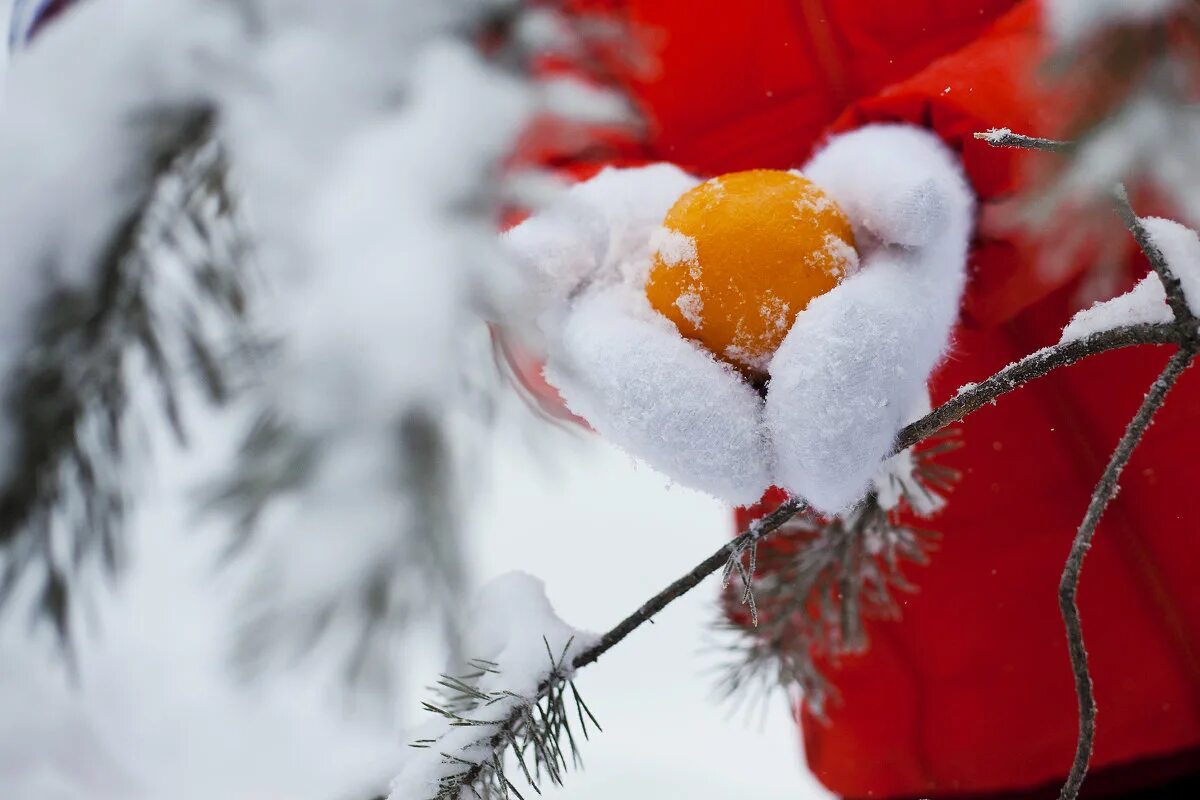 оранжевый зимний. закат зимой. оранжевый зимний. оранжевая зима. зима в оранжевых тонах.