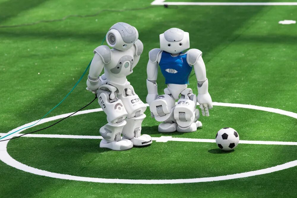 World robotics