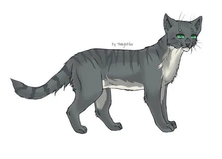 У кота перелом коты воители