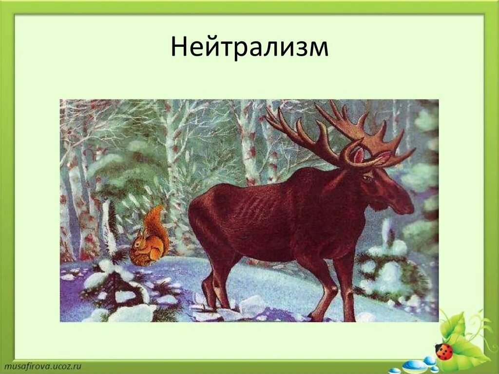 Что такое нейтрализм. Нейтрализм белка и Лось. Нейтрализм 5 класс биология. Нейтрализм. Примеры нейтрализма в биологии.