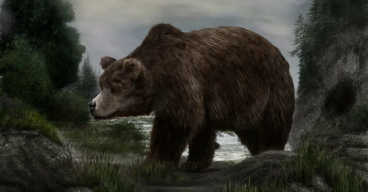 Короткомордый пещерный медведь. Доисторические хищники короткомордый медведь. Берендей оборотень медведь славянская мифология. Геном медведя. Геном медведя.