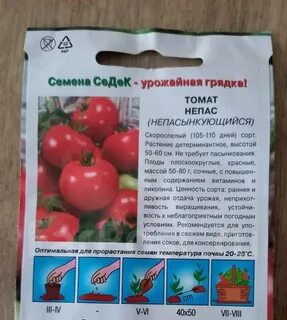 14 томата