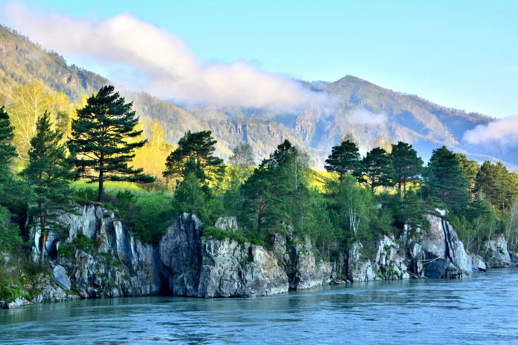 природа алтайского края, горный алтай. горно алтайск природа. уникальная природа алтая. шавлинское озеро горный алтай. алтай кучерлинское озеро лошади.