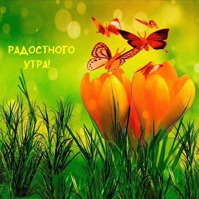 Удачного дня природа. Открытки доброе утро с природой. Скачай картинки с природой с хорошим днем. Хорошего дня картинки природа. Хорошего дня природа.