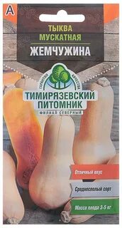 Сорт тыквы жемчужина