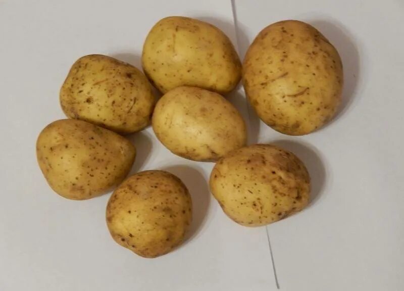 Картофель Вега Лабелла. Сорт картофеля Журавинка.