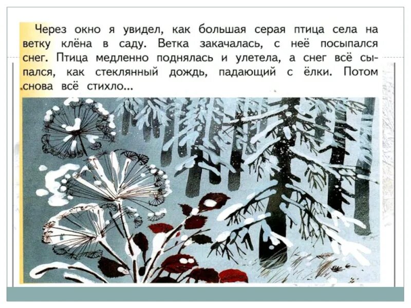 Первый зимний день Паустовский. Первый зимний день рассказ. Паустовский 1 зимний день. Паустовский первый снег.